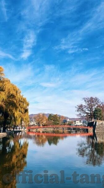 国色天香中文字幕在线视频-品味国色天香，中文字幕在线视频的魅力探索