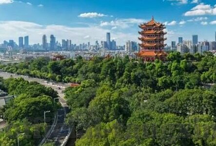 内地av麻豆-内地AV麻豆现象的多维透视，伦理、法律与文化背景