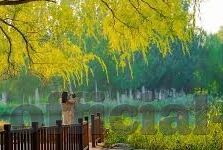 糖心app旧版本下载-谨慎安装，经典回忆的复刻——糖心app旧版本的回归之旅